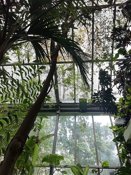 Tropen- und Sukkulentengewächshäuser (Serra Lodi) des Orto botanico der Universität Bologna, Bologna, Emilia-Romagna — Tropen- und Sukkulentengewächshäuser — Ansicht 4