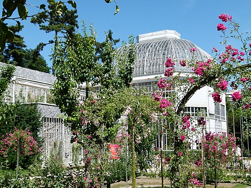 Palmarium des Französischen Gartens, Musée et Jardins Albert-Kahn, Boulogne-Billancourt, Île-de-France — Serres dans la partie "jardin à la française" du jardin Albert Kahn