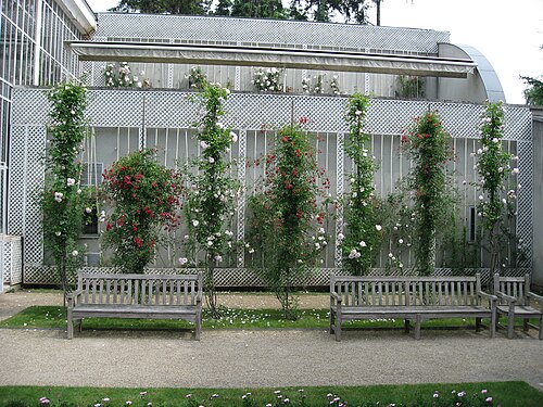 Palmarium des Französischen Gartens, Musée et Jardins Albert-Kahn, Boulogne-Billancourt, Île-de-France — photo 3