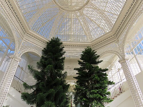 Palmarium des Französischen Gartens, Musée et Jardins Albert-Kahn, Boulogne-Billancourt, Île-de-France — Palmarium des Französischen Gartens, Musée et Jardins Albert-Kahn — Ansicht 5