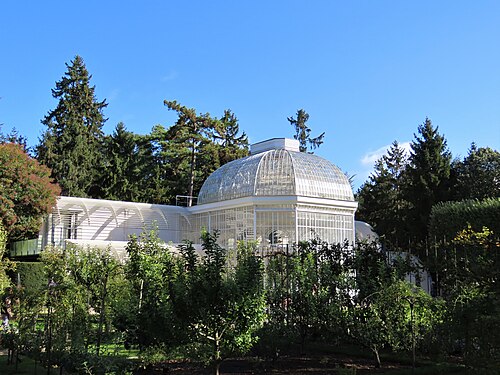Palmarium des Französischen Gartens, Musée et Jardins Albert-Kahn, Boulogne-Billancourt, Île-de-France — Palmarium des Französischen Gartens, Musée et Jardins Albert-Kahn — Ansicht 6