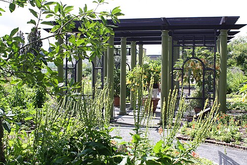 Orangerie et Limonaia (New England Botanic Garden at Tower Hill), Boylston, Massachusetts — Tower Hill Botanical Garden - Boylston MA