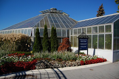 Gewächshaus und Tropengärten (Greenhouse & Tropical Gardens), Chinguacousy Park, Brampton, Ontario — Chinguacousy Park Tropical Garden