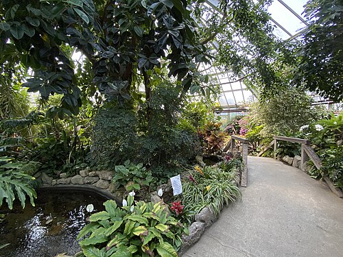 Gewächshaus und Tropengärten (Greenhouse & Tropical Gardens), Chinguacousy Park, Brampton, Ontario — Chinguacousy Park Greenhouse