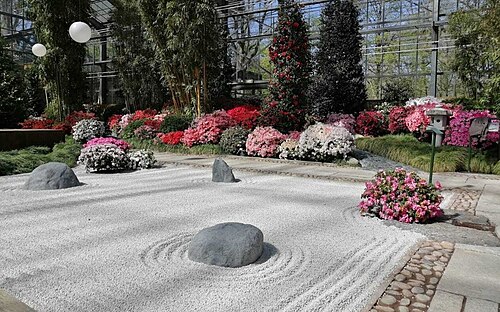 botanika (Gewächshäuser des Rhododendron-Parks, Bremen), Bremen — Japanese garden