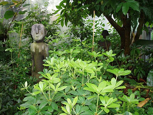 botanika (Gewächshäuser des Rhododendron-Parks, Bremen), Bremen — Bremen, botanika