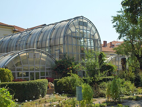 Serres du jardin botanique de la faculté des sciences de l'université Masaryk (skleníky), Brno, région de Moravie-du-Sud — Greenhouse, Botanical garden Brno