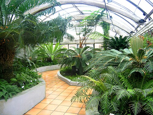 Serres du jardin botanique de la faculté des sciences de l'université Masaryk (skleníky), Brno, région de Moravie-du-Sud — Greenhouses of the Faculty of Science, Masaryk University in Brno, Czech Republic