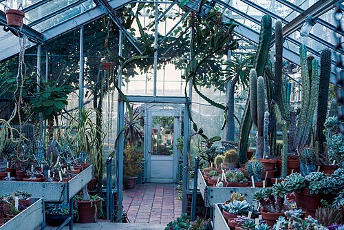 Marco Polo Stufano Conservatory (Wave Hill), Bronx, New York — Wave Hill botanical garden.