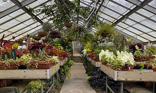 Marco Polo Stufano Conservatory (Wave Hill), Bronx, New York — photo 3
