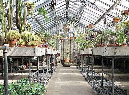 Marco Polo Stufano Conservatory (Wave Hill), Bronx, New York — A view of the cactus and succulent collection at Wave Hill, 2014