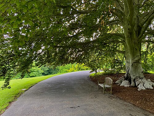 Marco Polo Stufano Conservatory (Wave Hill), Bronx, New York — Shaded by an enormous copper beech tree, a curved path winds through the grounds of Wave…