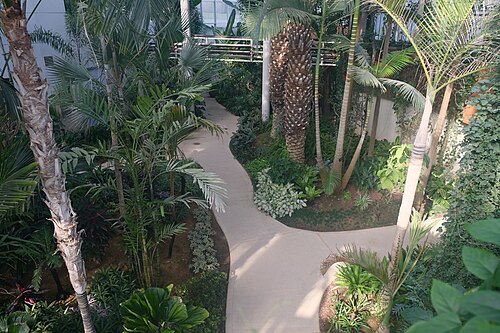 富川植物園の温室(부천식물원), 京畿道富川(遠美区春衣洞) — Bucheon Botanical Garden