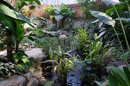富川植物園の温室(부천식물원), 京畿道富川(遠美区春衣洞) — 富川植物園の温室(부천식물원) — 2枚目