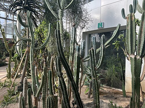 富川植物園の温室(부천식물원), 京畿道富川(遠美区春衣洞) — 富川植物園の温室(부천식물원) — 3枚目