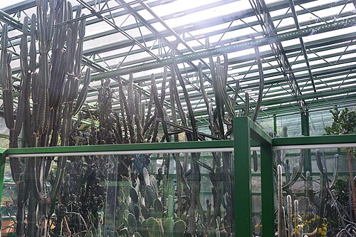 ディミトリエ・ブルンザ植物園の展示温室（セラ・デ・エクスポジツィエ）, ブカレスト — ディミトリエ・ブルンザ植物園の展示温室（セラ・デ・エクスポジツィエ） — 4枚目