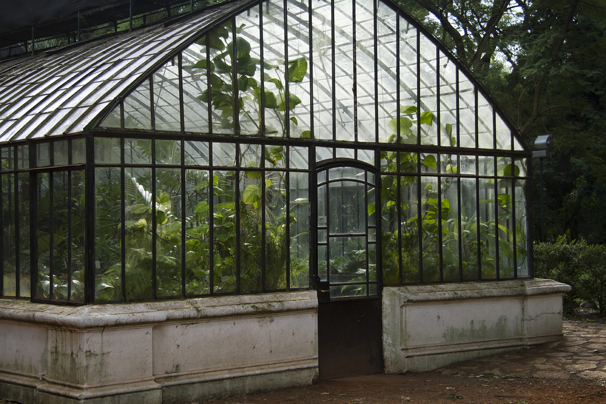 Invernáculo des Botanischen Gartens Carlos Thays, Buenos Aires — Foto: Estrella Herrera