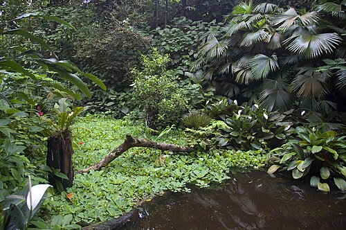 Burgers' Bush, Burgers' Zoo, Arnheim — Overzicht van Burgers' Bush