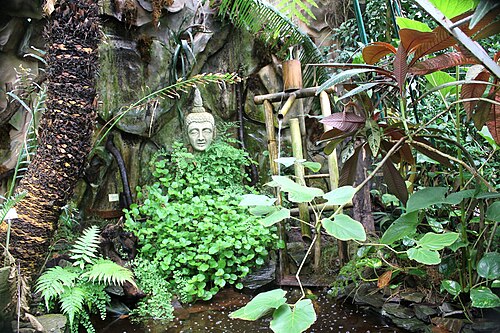 カーン植物園の熱帯温室, カーン、ノルマンディー — Bouddha dans la serre tropicale du jardin des plantes de Caen (Calvados)