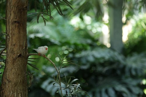 Cambridge Butterfly Conservatory, Cambridge, Ontario — photo 1