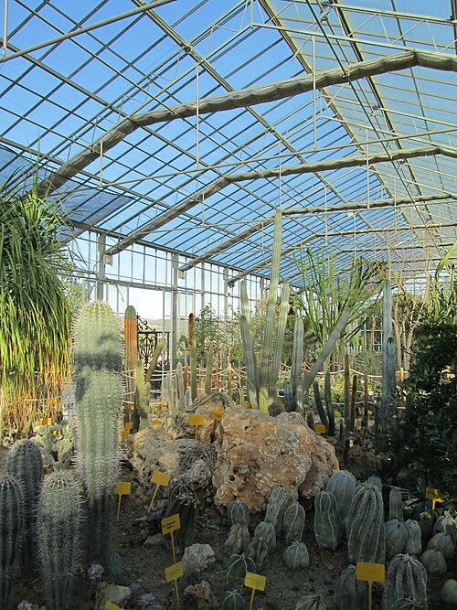 Gewächshaus des Botanischen Kakteen- und Sukkulentengartens Mora i Bravard, Casarabonela (Málaga), Andalusien — Gewächshaus des Botanischen Kakteen- und Sukkulentengartens Mora i Bravard — Ansicht 2