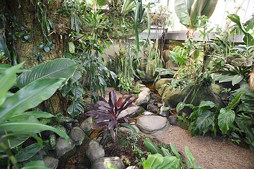 McMillan Greenhouse (UNC Charlotte Botanical Gardens), Charlotte, North Carolina — photo 2