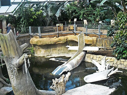Tropenkuppel Terre de Dragons (früher Planète des Crocodiles), Civaux, Nouvelle-Aquitaine — Tropenkuppel Terre de Dragons — Ansicht 2