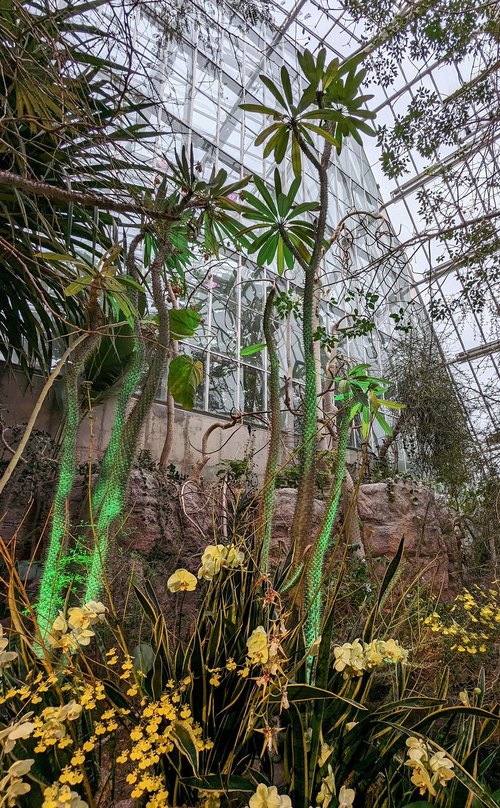 Eleanor Armstrong Smith Glasshouse (Cleveland Botanical Garden), Cleveland, Ohio — photo 1