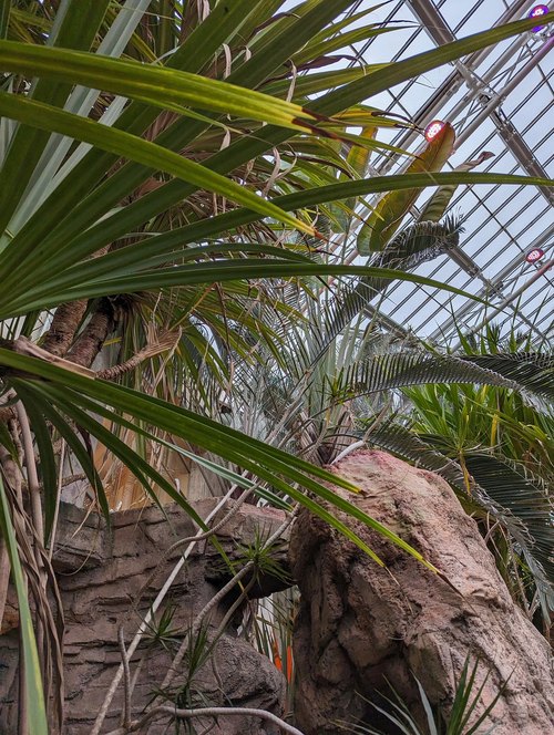 Eleanor Armstrong Smith Glasshouse (Cleveland Botanical Garden), Cleveland, Ohio — photo 2