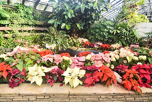 ロックフェラー・パーク温室, オハイオ州クリーブランド — Rockefeller Park Greenhouse