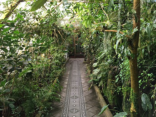 Conservatory of Flowers, San Francisco — A green path with tile and cast metal ornate walkway through the Conservatory of Flowers…