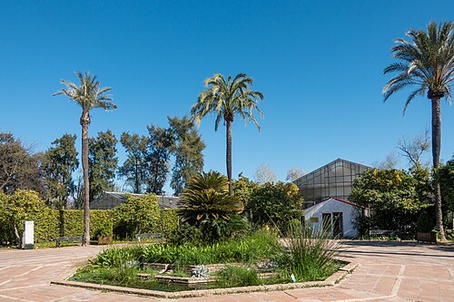 Gewächshäuser des Real Jardín Botánico de Córdoba (Amerika-, Zentral- und Orchideenhaus), Córdoba, Andalusien — Córdoba