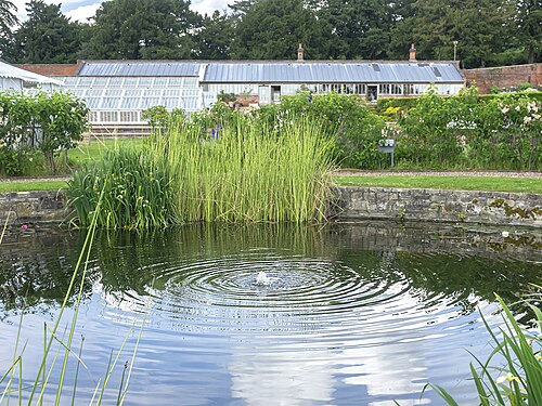 Gewächshäuser der ummauerten Gärten von Croome Court, Croome D'Abitot (Worcestershire), England — Walled Garden at Croome, 2
