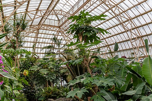 カニンガム・ハウス, クライストチャーチ、クライストチャーチ植物園 — Cuningham House, Christchurch Botanic Gardens, Canterbury, New Zealand