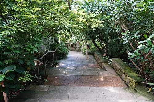 Rosine Smith Sammons Butterfly House and Insectarium (Texas Discovery Gardens), Dallas, Texas — The interior of the Rosine Smith Sammons Butterfly House & Insectarium at the Texas…