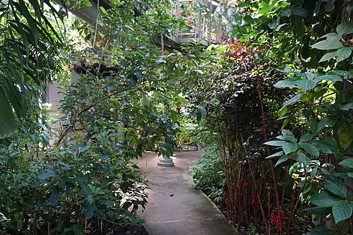 Rosine Smith Sammons Butterfly House and Insectarium (Texas Discovery Gardens), Dallas, Texas — Rosine Smith Sammons Butterfly House and Insectarium — Ansicht 3