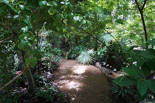 Rosine Smith Sammons Butterfly House and Insectarium (Texas Discovery Gardens), Dallas, Texas — Rosine Smith Sammons Butterfly House and Insectarium — Ansicht 4