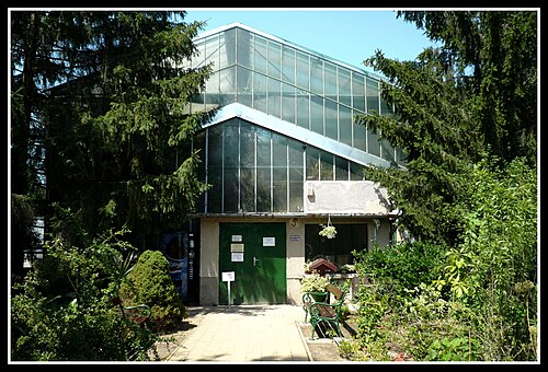 Palmenhaus und Sukkulentenhaus des Botanischen Gartens der Universität Debrecen, Debrecen, Komitat Hajdú-Bihar — Pálmaház