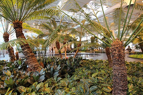 Devonian Gardens, Calgary, Alberta — TD square Calgary Devonian Gardens