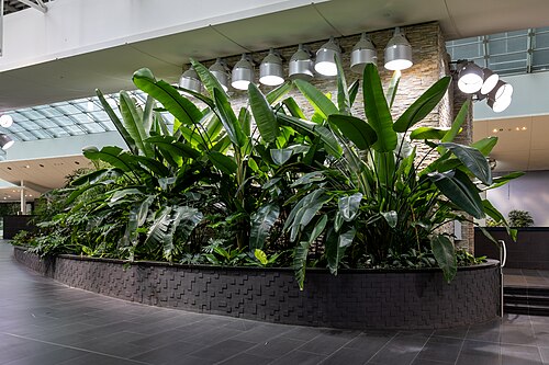Devonian Gardens, Calgary, Alberta — Devonian Gardens, CORE Shopping Centre, Calgary, Alberta, 2025-07-14