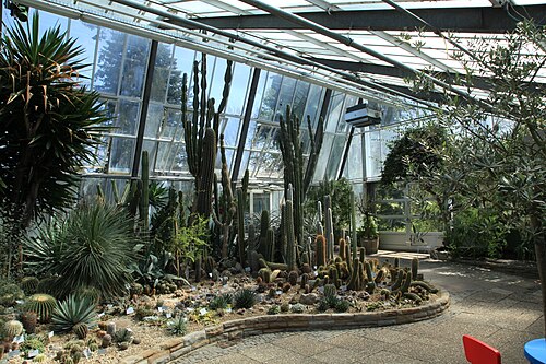 Pflanzenschauhäuser, Botanischer Garten Rombergpark, Dortmund, Nordrhein-Westfalen — Pflanzenschauhäuser im Rombergpark in Dortmund