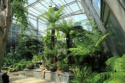 Pflanzenschauhäuser, Botanischer Garten Rombergpark, Dortmund, Nordrhein-Westfalen — Pflanzenschauhäuser, Botanischer Garten Rombergpark — Ansicht 2