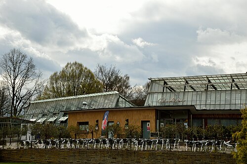 Pflanzenschauhäuser, Botanischer Garten Rombergpark, Dortmund, Nordrhein-Westfalen — Dortmund Pflanzenschutzhaus