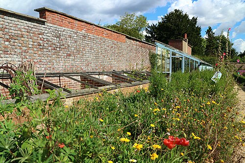 Charles Darwins Gewächshaus und Warmhaus, Down House, Downe (Orpington), Greater London — Greenhouse and garden