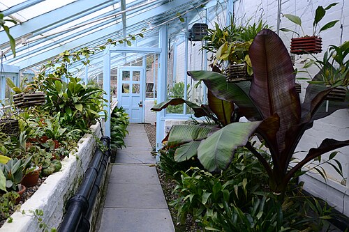 Charles Darwins Gewächshaus und Warmhaus, Down House, Downe (Orpington), Greater London — Down House; home of Charles Darwin