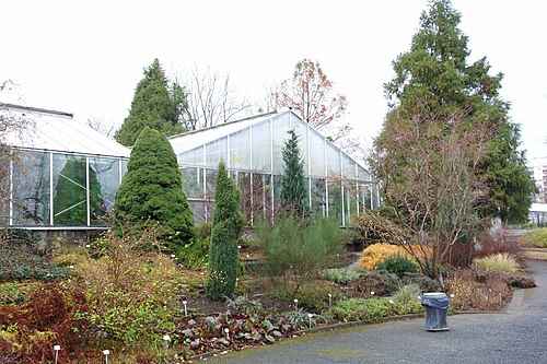 Serres du Jardin botanique de l'Université technique de Dresde (Botanischer Garten der TU Dresden), Dresde, Saxe — Botanischer Garten, Dresden, Germany.