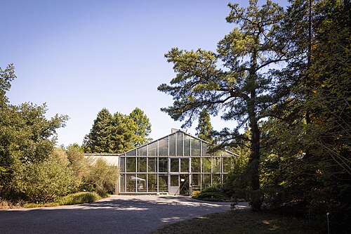 Serres du Jardin botanique de l'Université technique de Dresde (Botanischer Garten der TU Dresden), Dresde, Saxe — Botanischer Garten, Tropenhaus (Stadtteil: Seevorstadt)