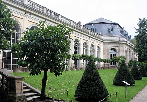 カメリエンハウス(ピルニッツのツバキの移動式温室), ザクセン州ドレスデン(ピルニッツ) — Dresden-Pillnitz, castle, the orangery