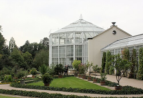 Palmenhaus Pillnitz, Dresden, Sachsen — Dresden-Pillnitz, Schloss, the palm house
