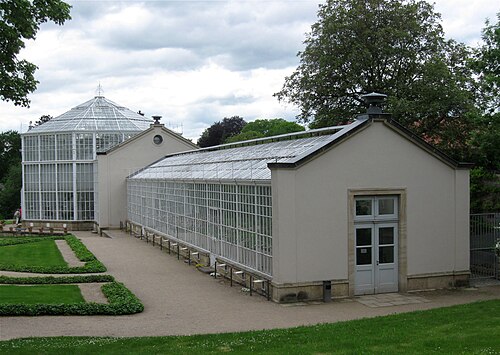 Palmenhaus Pillnitz, Dresden, Sachsen — Palmenhaus im Schlosspark Pillnitz, Dresden